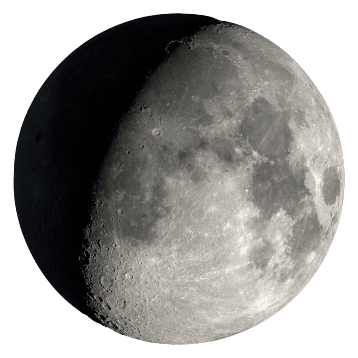 Lune jour 12 - Maharu